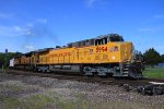 UP 5994